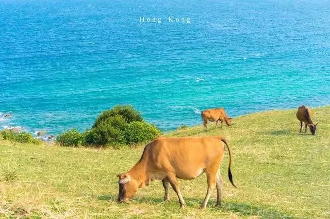 香港太平山景区,香港南丫岛景区