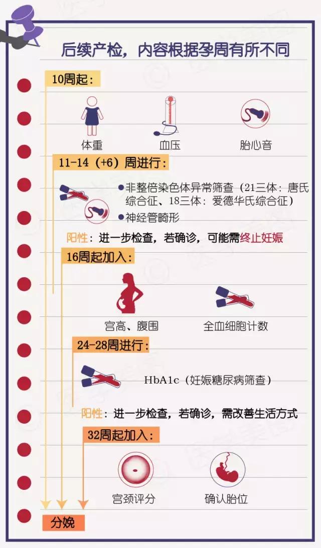 一分钟看懂产检报告,产检化验单报告单模板