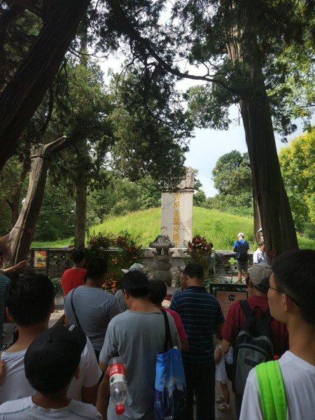 曲阜三孔一日游票价,曲阜三孔一日游