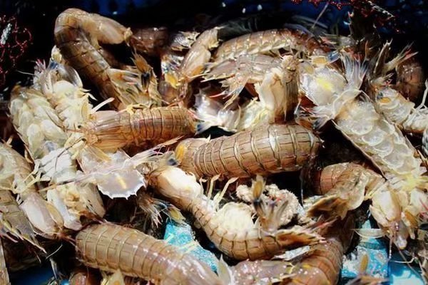 和妈妈第一次一起旅游,三亚潜水旅行攻略