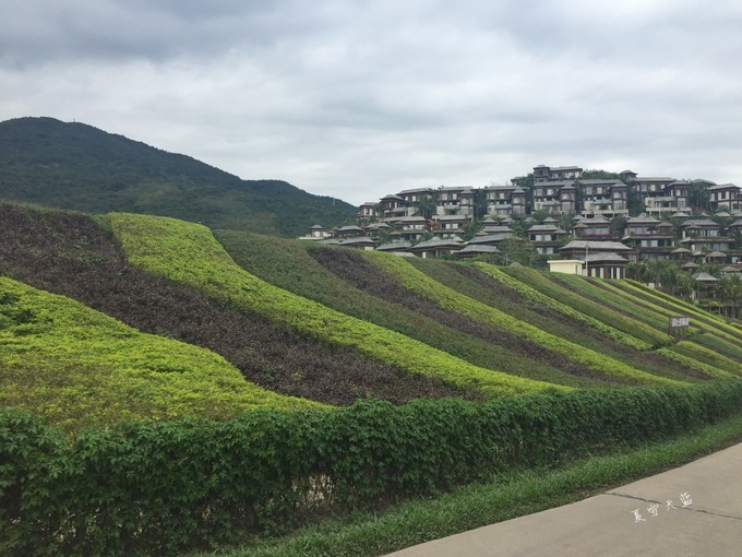 和妈妈第一次一起旅游,三亚潜水旅行攻略