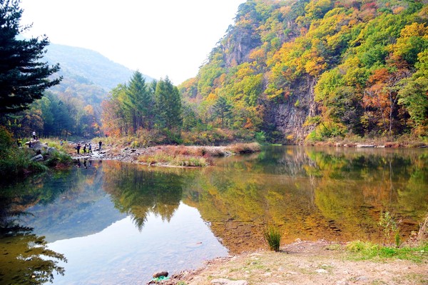 抚顺猴石森林公园视频,抚顺猴石国家森林公园有啥玩的