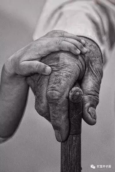 互联网新型养老院模式,互联网养老院的产品研发