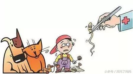 宝宝六个月有虫子了怎么办,八个月宝宝眼睛取出虫子