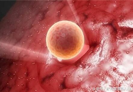 排卵日和排卵期症状有什么区别,排卵期与排卵日的症状有什么区别