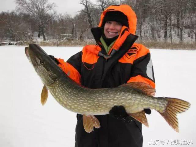 脑洞大开！“乌贼”“海豚”都齐活？看苏俄潜艇的“真名解放”！