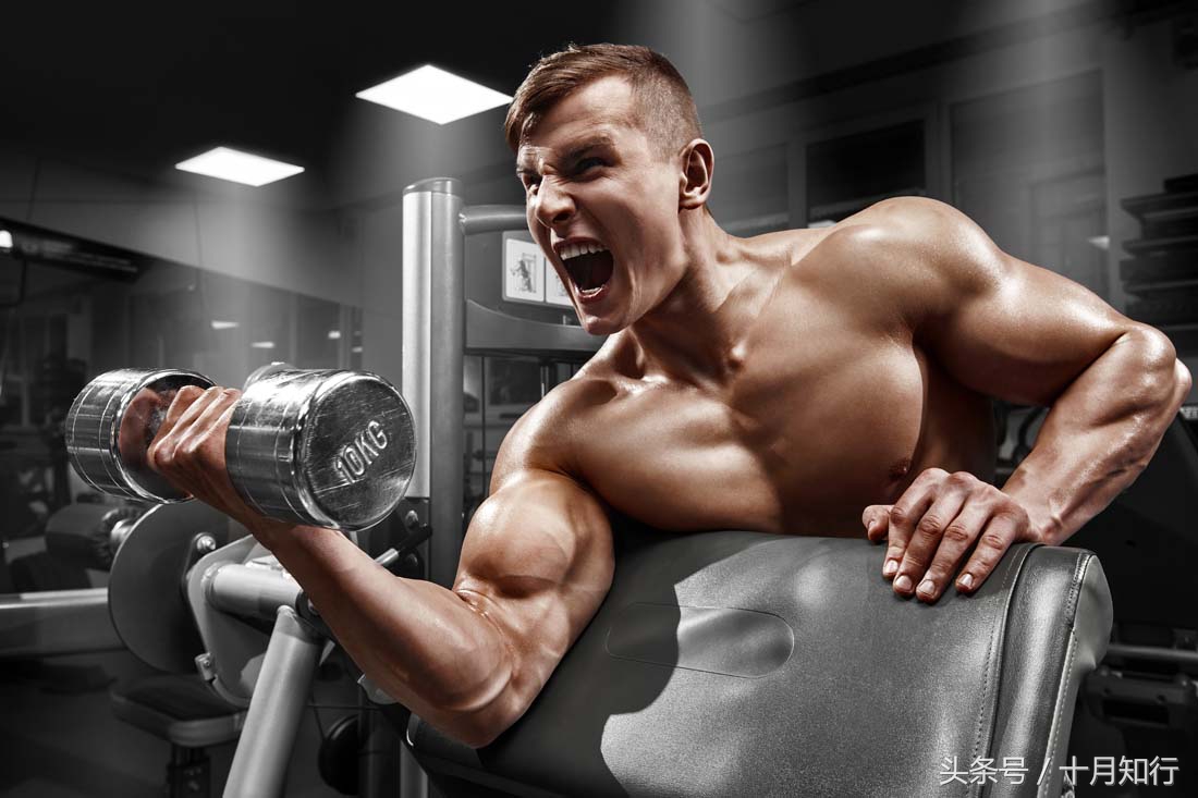 哑铃居家全身训练计划,一周三练全身哑铃训练计划