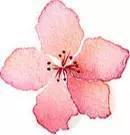 嗨团团购｜七夕送礼为难，函函为你盘点零差评化妆水TOP10