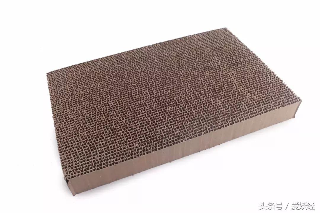 怎么让猫咪爱上猫抓板,猫咪喜欢猫抓板的表现