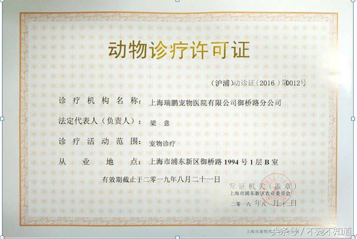 宠物医院良心诊疗在哪里,最近的宠物诊所在哪里