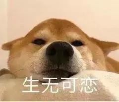 《劲话论》第21期丨阿甘鞋七夕特别款，让七夕这道送命题变送分题