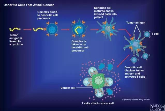 近十年已上市的治疗前列腺癌药物盘点