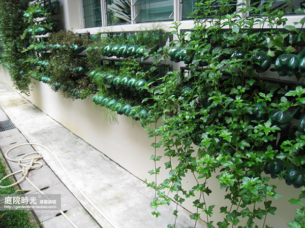 变废为宝自制栽培绿植器皿,塑料瓶创意绿植盆栽旧物利用