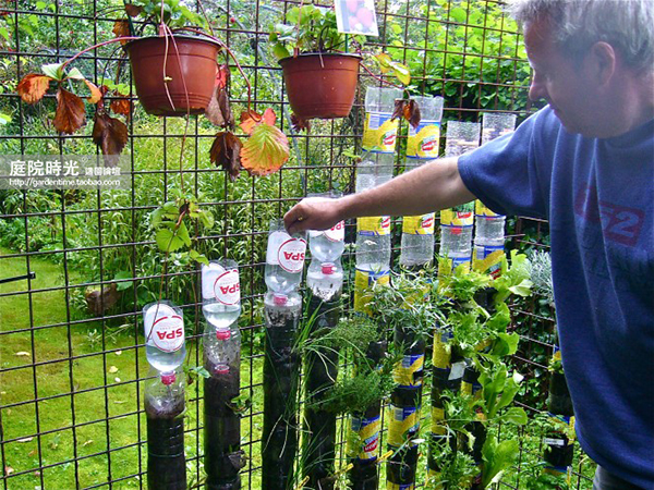 变废为宝自制栽培绿植器皿,塑料瓶创意绿植盆栽旧物利用