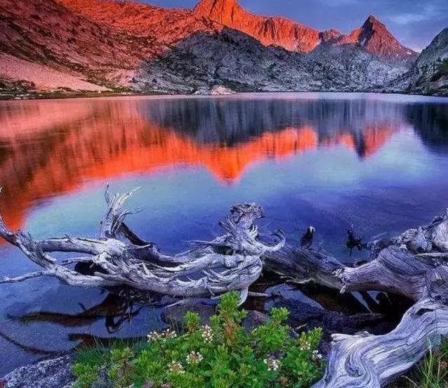 鐧惧彉缇庡啗,鐧惧彉缇庡浗