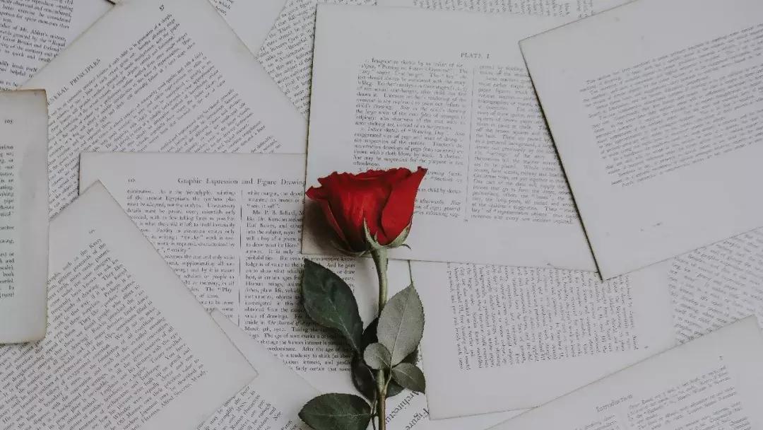 七夕节女朋友送自己小礼物了,七夕节女友送我一双鞋