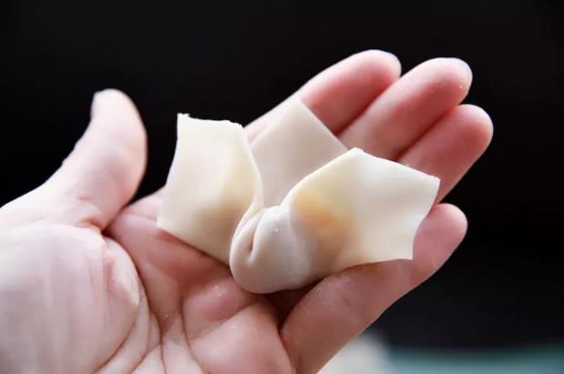 十种最漂亮的云吞包法,云吞包法视频12种包法