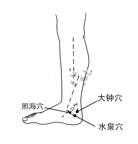 全身48个容易瘀堵的点,身体瘀堵拍打哪些穴位