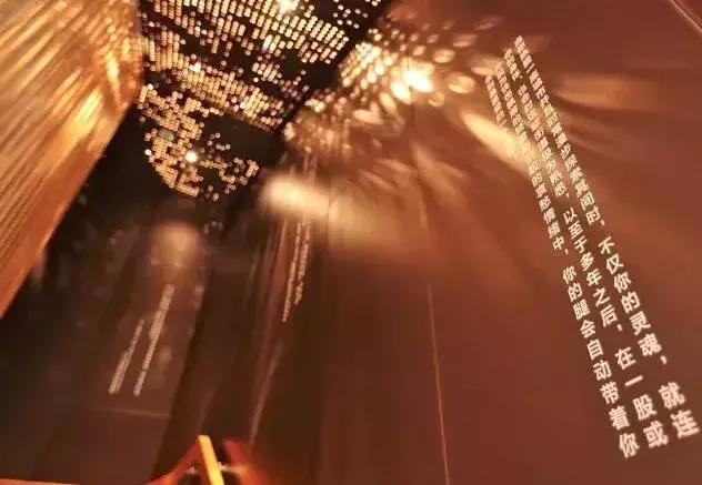 最美的书店在哪里,最美的书店在哪儿