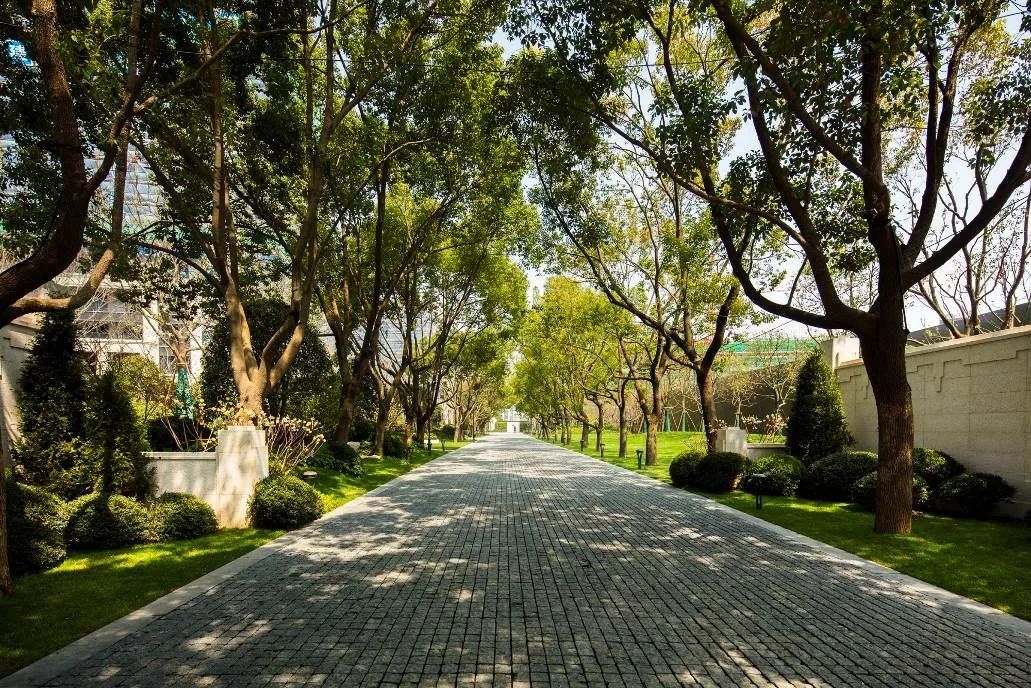 万科格拉美西宁波顶楼,3万买马6值不值