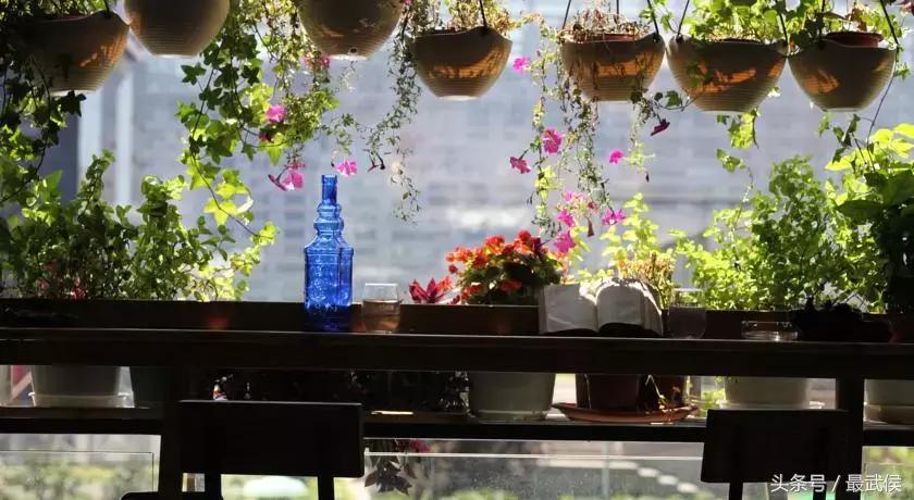 成都市区特色民宿排行榜,成都民宿攻略排名前十