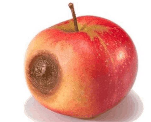 坏了一点的水果还能吃吗,水果坏了一小点切掉剩下的能吃吗