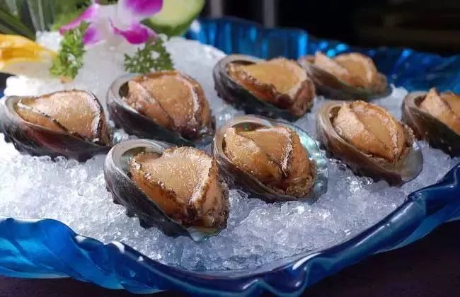 虎门新湾渔港新闻,虎门镇新湾最新消息