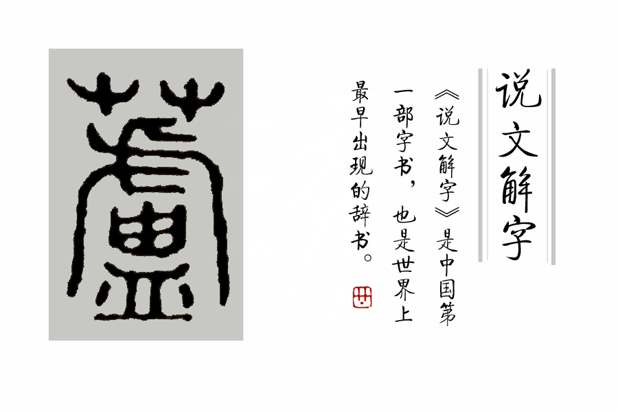 说文解字第263讲,说文解字第56课