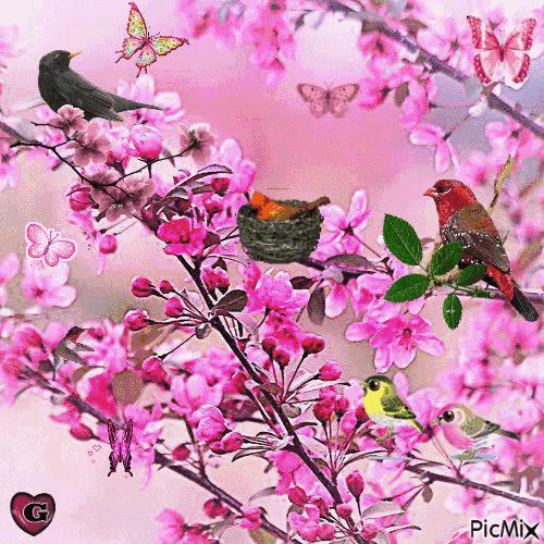 当你心烦觉得生活不尽人意时,当你心烦时看看就懂了