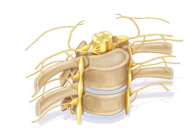 科技资讯一周,一周科技资讯快报