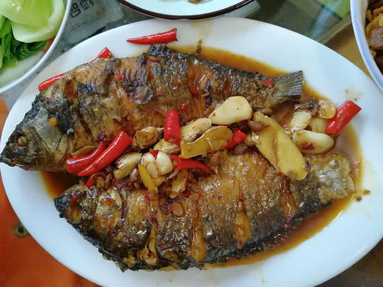 野生的鲫鱼很白正常吗,野生鲫鱼的最简单识别方法