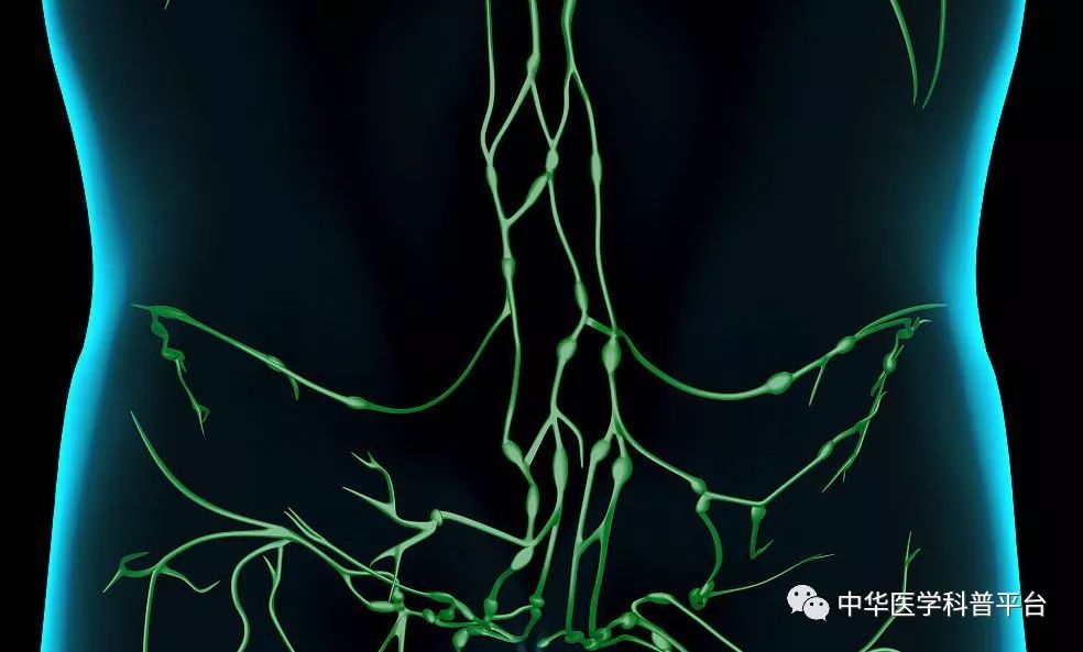 淋巴结注意事项有哪些,有关淋巴结的相关知识