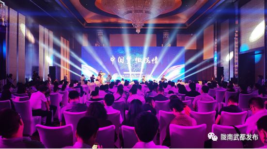 陇南武都橄榄产业发展,陇南油橄榄产业