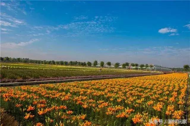 潮州五大景区,潮州最值得去的景点排名前十