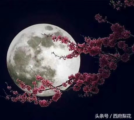 淮南经典名言名句,淮南出自哪一句诗