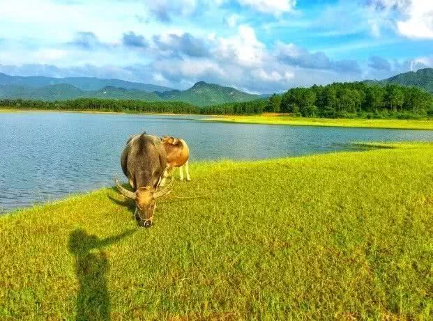 珠海高铁就能到的小县城，藏着圣托里尼的浪漫，济州岛的清新！