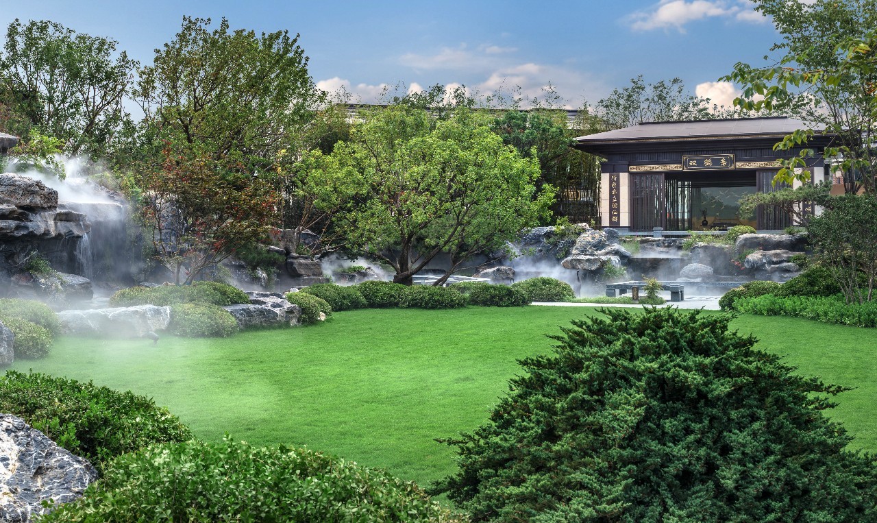 城市森林里的清新,城市山林