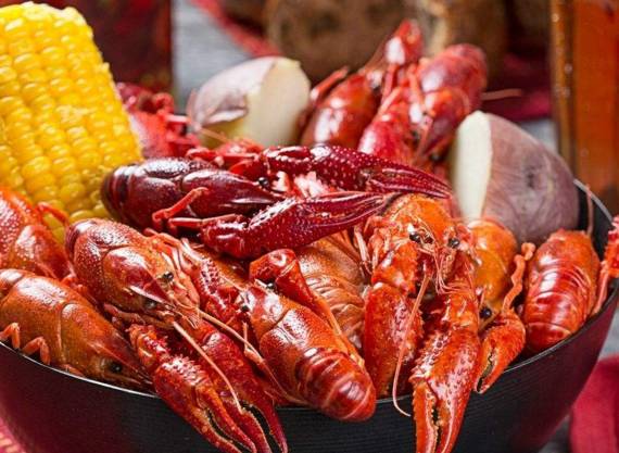 曝光6个适合农村人致富项目,农村特种种植致富项目有哪些