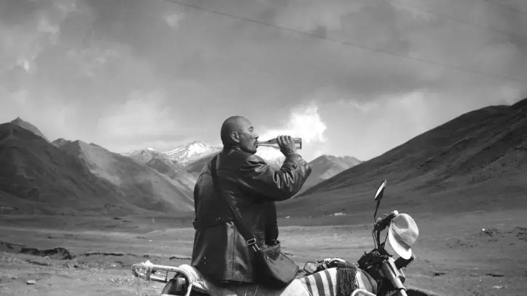 电影塔洛讽刺什么,塔洛最后的结局