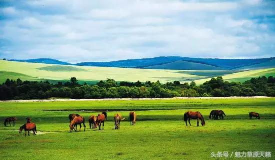 一座去了不想走的城市成都,一座去了还想去的城
