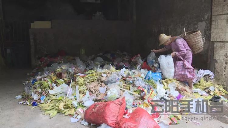 孩子入学报名信息房屋信息错了,入学房产数据不符合