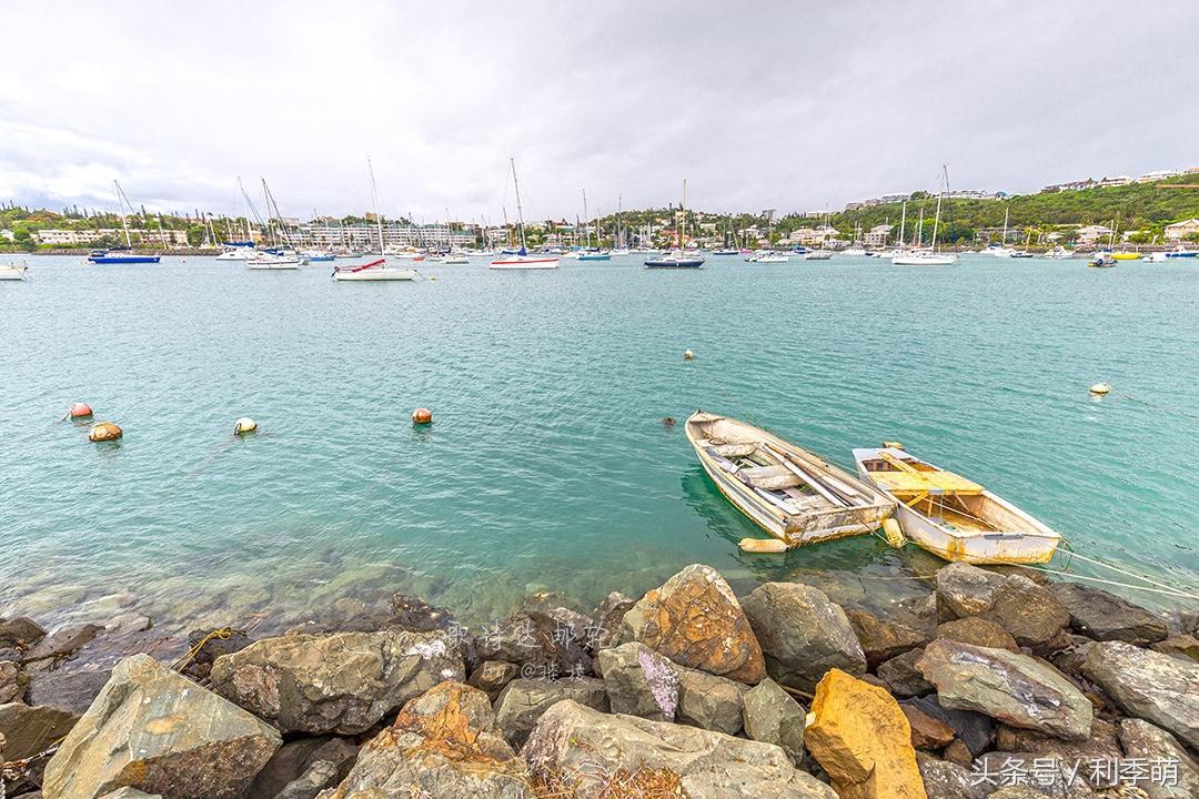 「透视旅行」依依不舍告别“鸭岛”