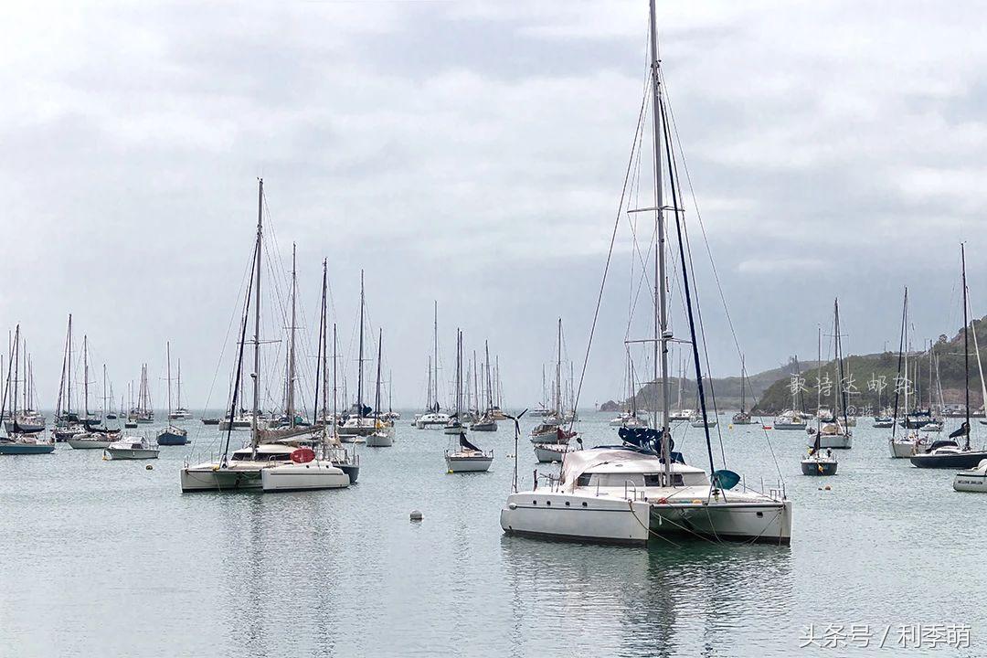 「透视旅行」依依不舍告别“鸭岛”