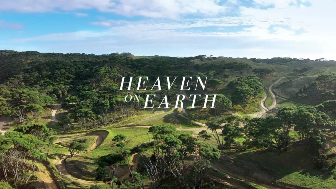 新西兰育儿攻略,生娃容易育儿难