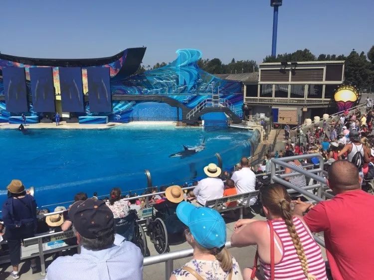 「6000字，非广告」无老师私家美国西海岸名校游路线！