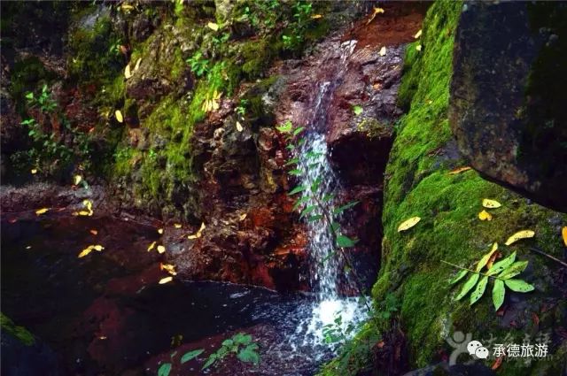 醉美九龙,九龙潭踏青一日游