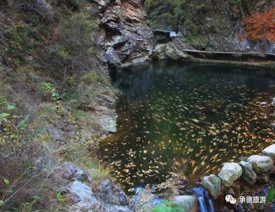 醉美九龙,九龙潭踏青一日游