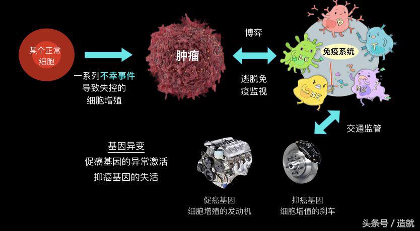 7种常见癌症的早期发现和预防,癌症是可以预防的癌症真相大揭秘