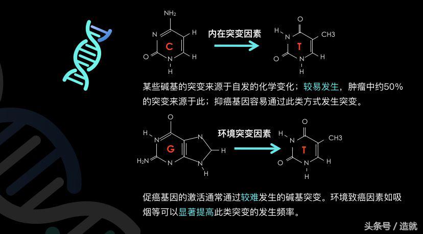 7种常见癌症的早期发现和预防,癌症是可以预防的癌症真相大揭秘