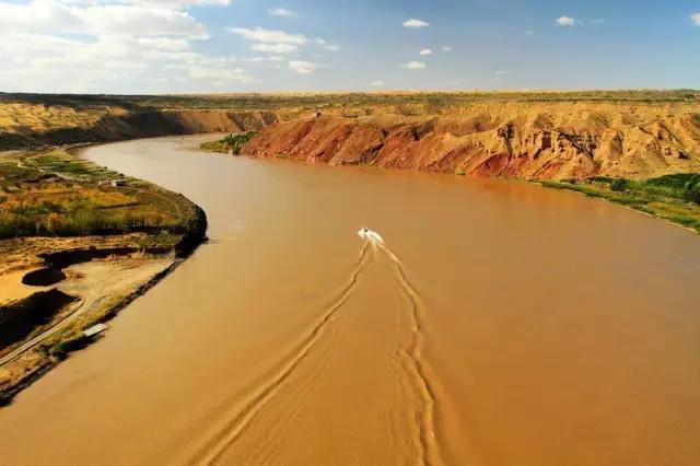 全国各地特产大全视频,长白山特产林下灵芝片东北特产50g